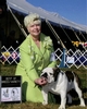 Best of Breed Photo